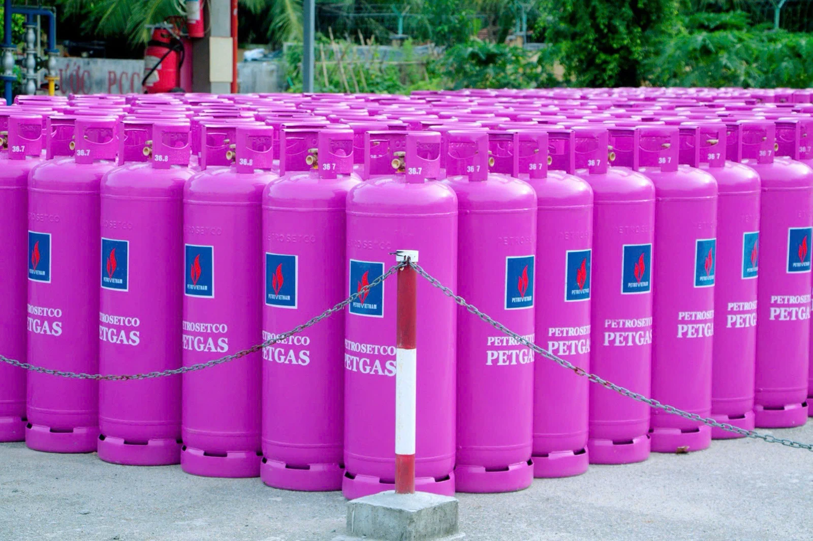Hình ảnh thực tế dãy bình PETROSETCO PETGAS màu hồng